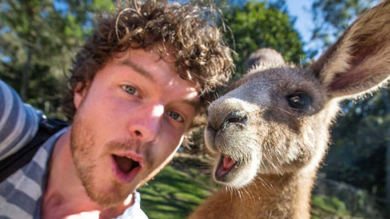 The Animal Whisperer: Australian Adventurer’s Heartwarming Selfies with Local Fauna