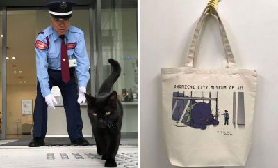 Why Are These Japanese Cats Trying To Sneak Into A Museum? 